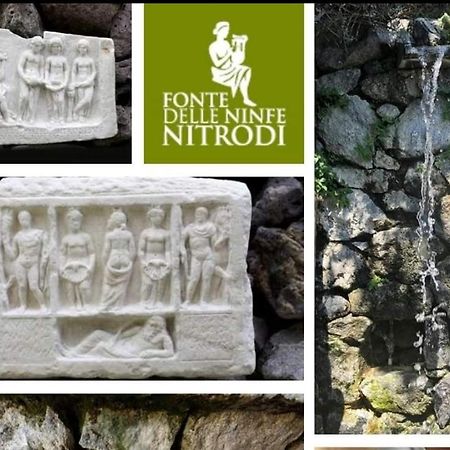 Apartmán Il Giardino Barano dʼIschia Exteriér fotografie