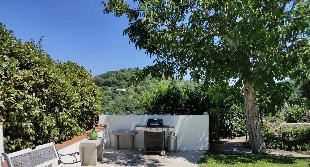 Apartmán Il Giardino Barano dʼIschia Exteriér fotografie